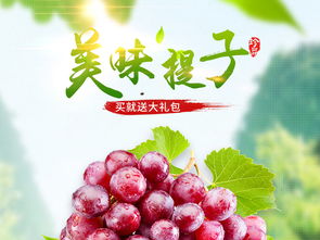 水果葡萄提子菩提水蜜桃主图直通车PSD设计素材 高清模板下载与食品茶饮应用大全