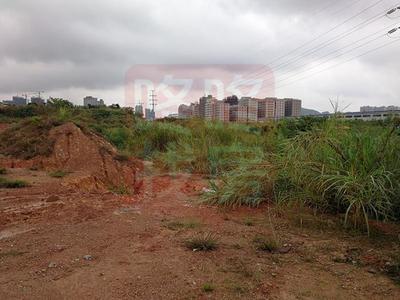 误操作？大亚湾拍出7.88亿天价地块，楼面价破3万/㎡引关注