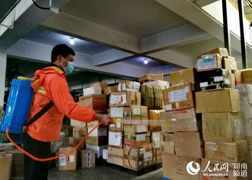 国际EMS邮件数量激增，医疗物资与蔬菜占比突出